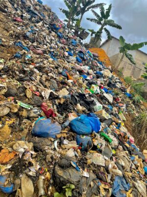 Article : Quand les ordures menacent la santé publique au Cameroun